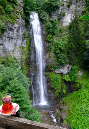 Eastern Black Sea Highlands
