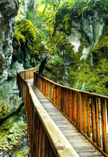 Kastamonu Canyons and Amasra Tour