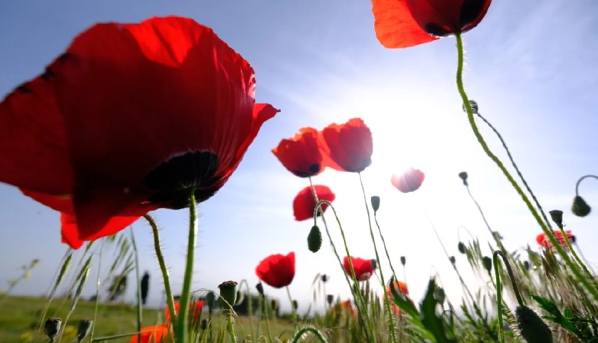 Pamukkale & Hierapolis & Ulubey Canyon