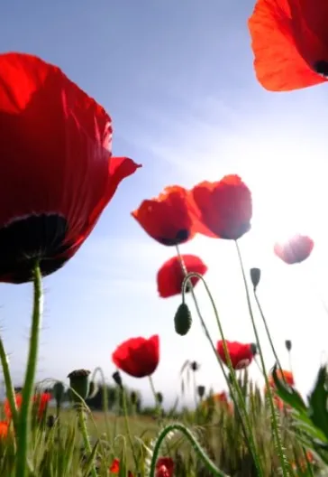 Pamukkale & Hierapolis & Ulubey Canyon