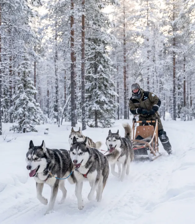 Lapland Ylläs Turu | Buzkıran Gemisi, Äkäslompolo ve Kuzey Işıkları