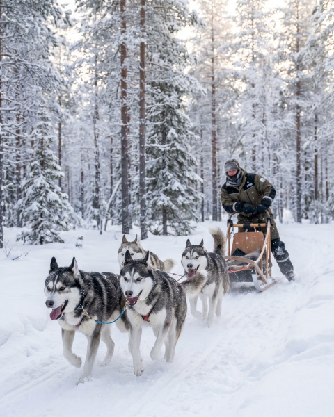 Lapland Ylläs Turu | Buzkıran Gemisi, Äkäslompolo ve Kuzey Işıkları