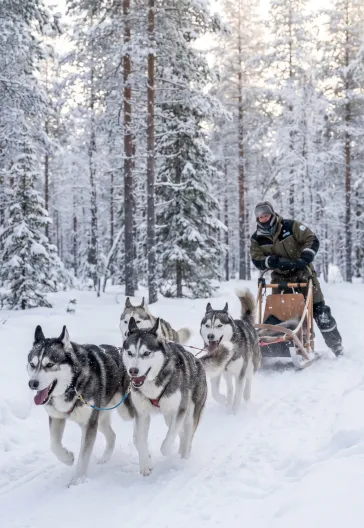 Lapland Ylläs Turu | Buzkıran Gemisi, Äkäslompolo ve Kuzey Işıkları