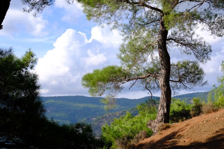 kazdaglari-trekking-ve-kesif-5ece3f28a0669