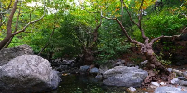 Kaz Dağları Trekking Turu (2 Gece 3 Gün)