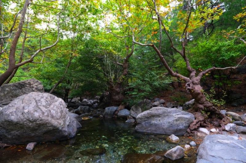 Kaz Dağları Trekking Turu (2 Gece 3 Gün)