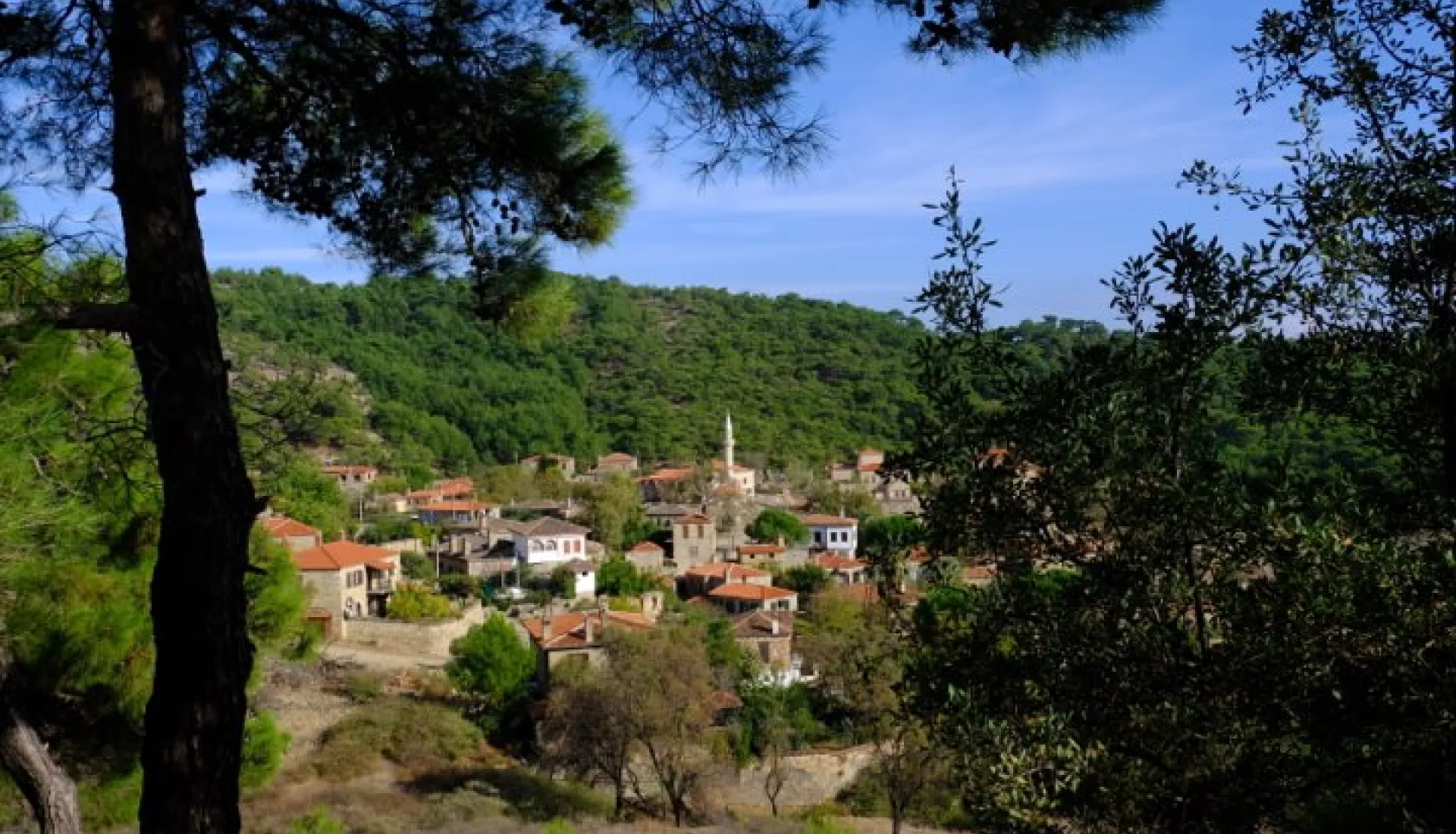 Kaz Dağları Trekking Turu (2 Gece 3 Gün)