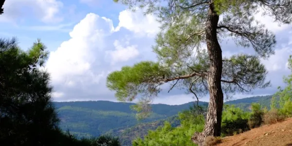 Kaz Dağları Trekking Turu (2 Gece 3 Gün)