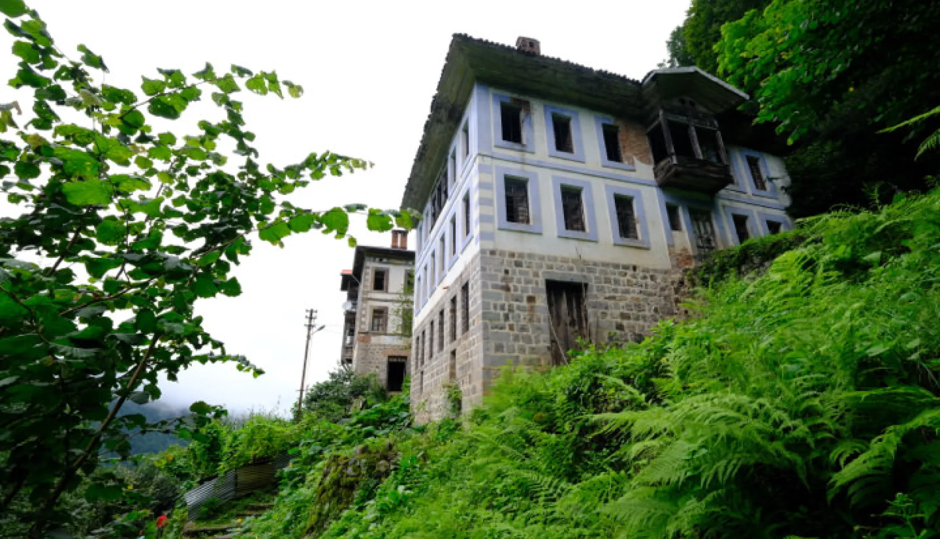 Doğu Karadeniz Yaylaları