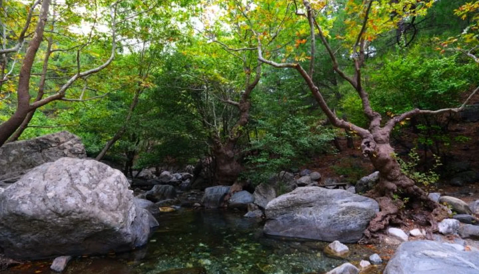 Kaz Dağları'nda Trekking Turu