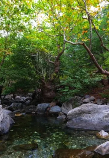 Kaz Dağları'nda Trekking Turu