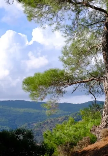 Kaz Dağları'nda Trekking Turu