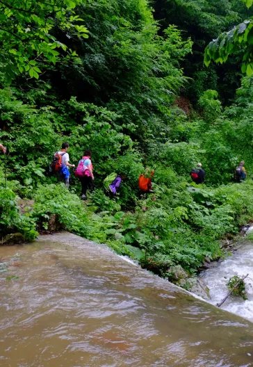 Aytepe (Beşkayalar)