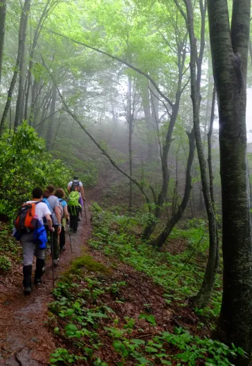 Aytepe (Beşkayalar)