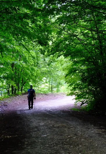 Aytepe (Beşkayalar)