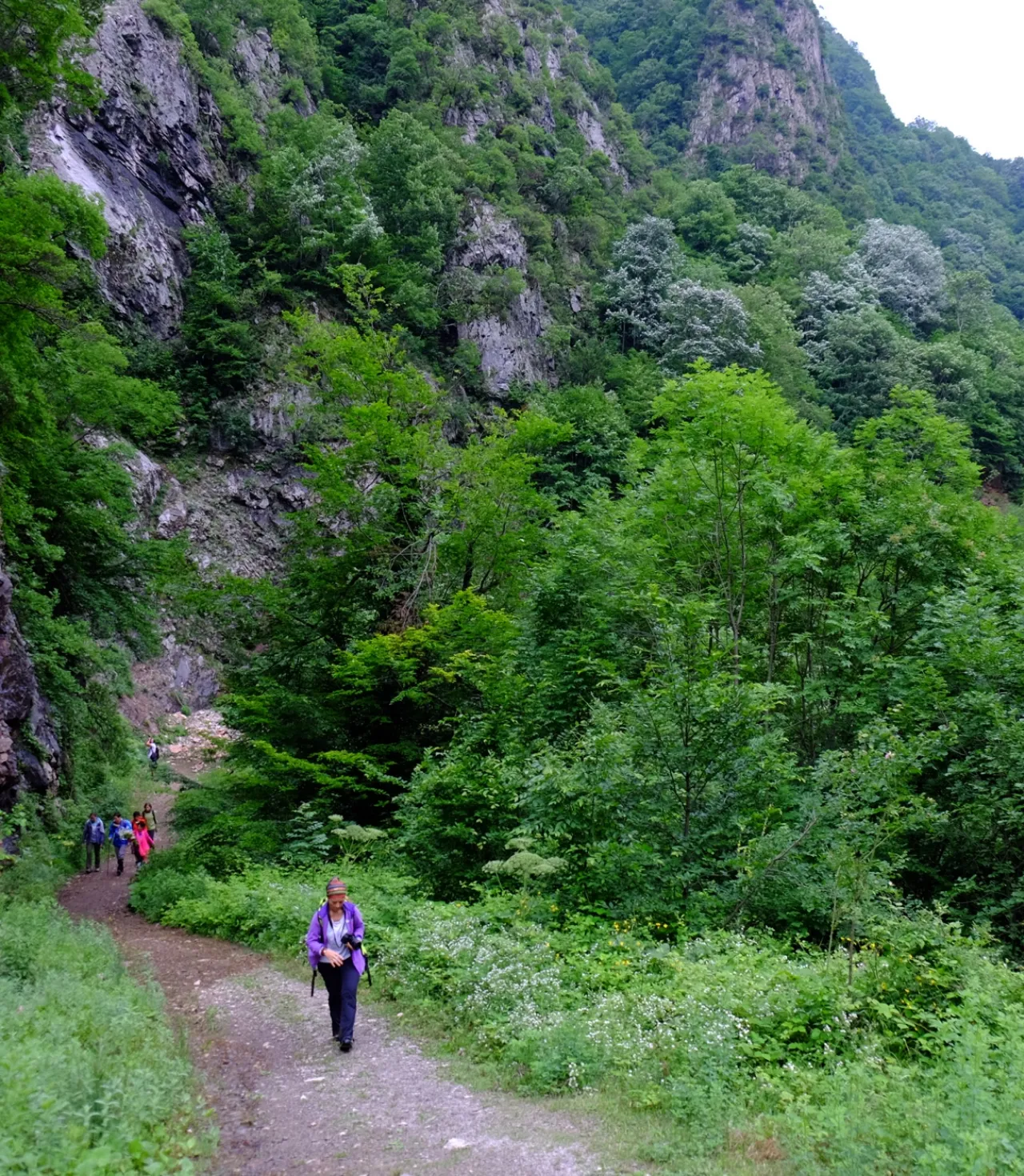 Aytepe (Beşkayalar)