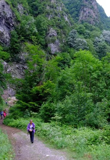 Aytepe (Beşkayalar)