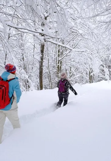 Aytepe (Beşkayalar)
