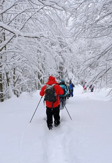 Aytepe (Beşkayalar)