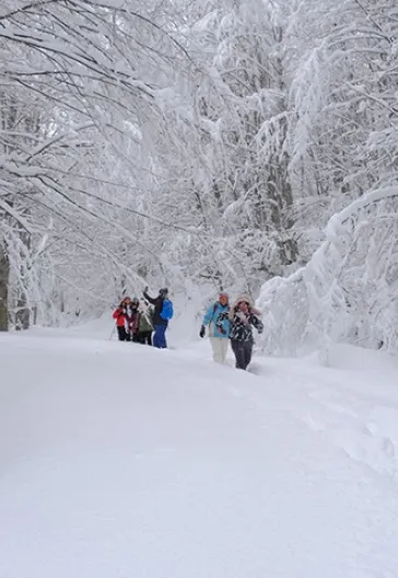 Aytepe (Beşkayalar)