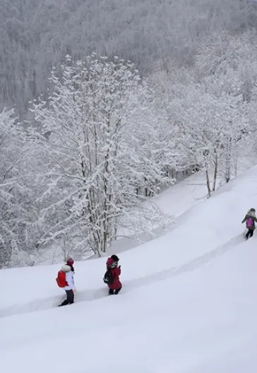 Aytepe (Beşkayalar)