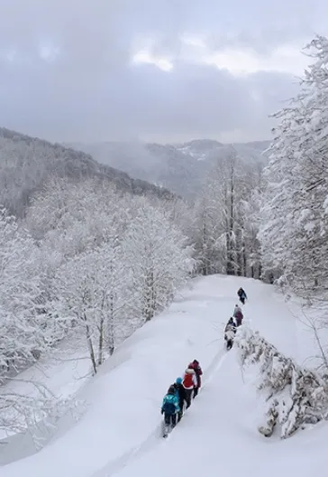 Aytepe (Beşkayalar)