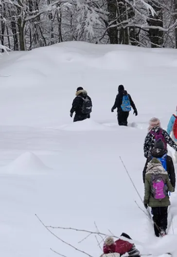 Aytepe (Beşkayalar)