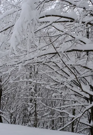 Aytepe (Beşkayalar)