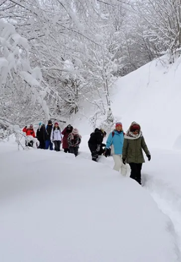 Aytepe (Beşkayalar)
