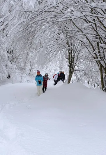 Aytepe (Beşkayalar)