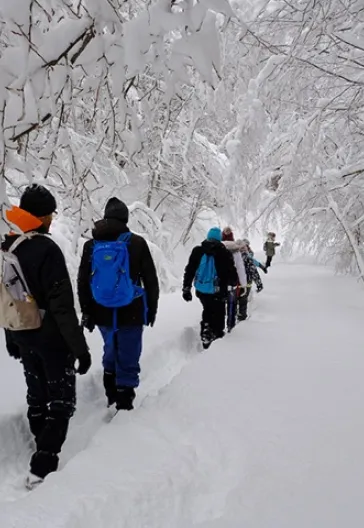 Aytepe (Beşkayalar)