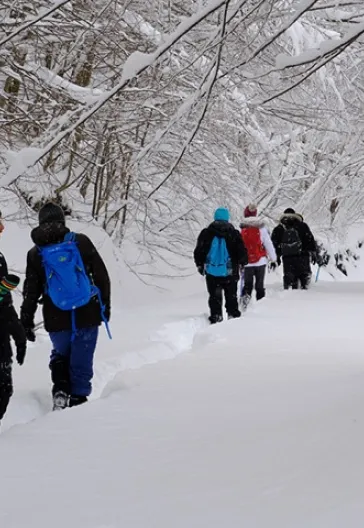 Aytepe (Beşkayalar)