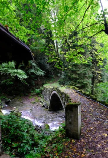 Eastern Black Sea Highlands