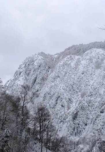 Aytepe (Beşkayalar)