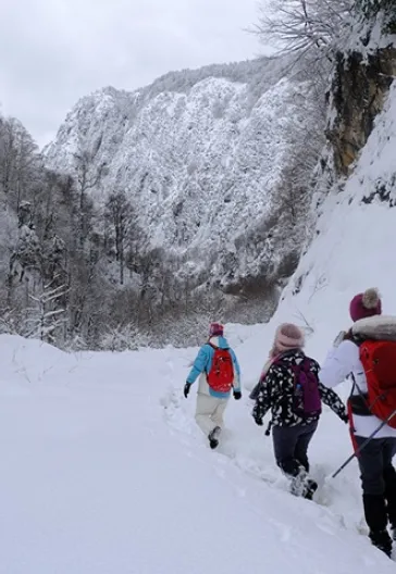 Aytepe (Beşkayalar)
