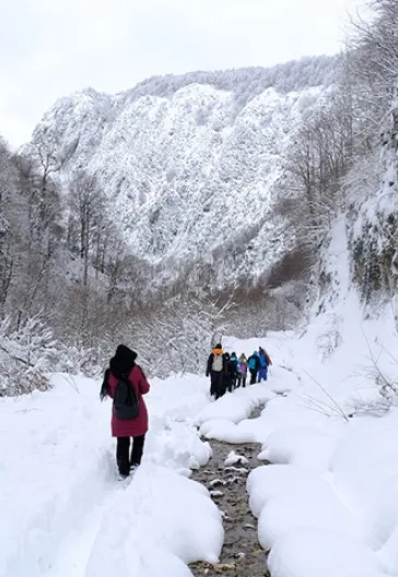 Aytepe (Beşkayalar)