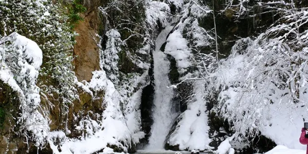 Aytepe (Beşkayalar)