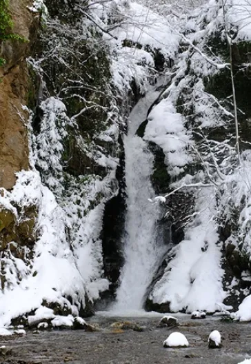 Aytepe (Beşkayalar)