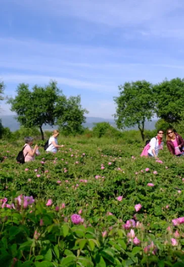 Isparta Rosenernte & Seenregion