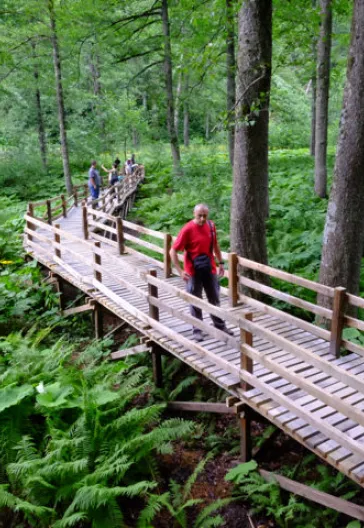 Eastern Black Sea Highlands