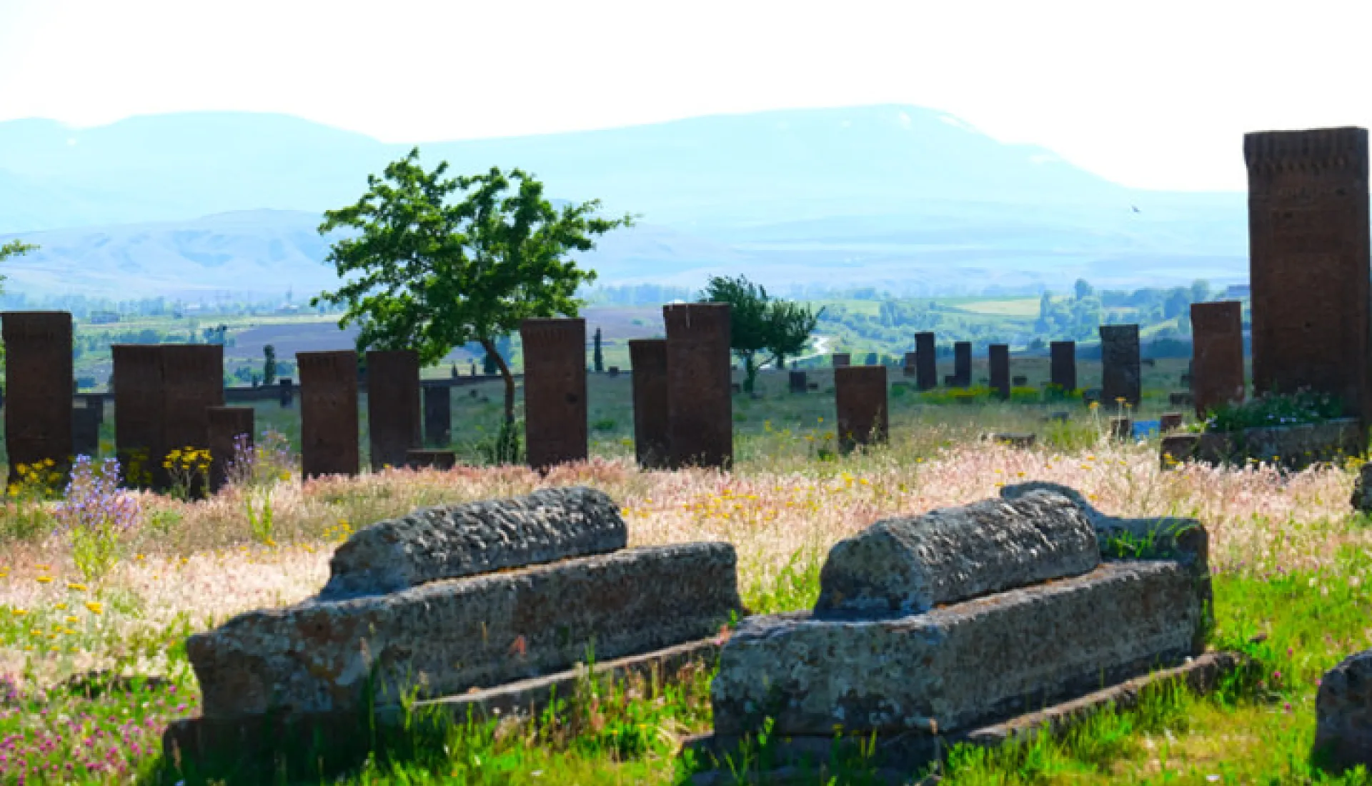 Ani Akdamar Nemrut Turu