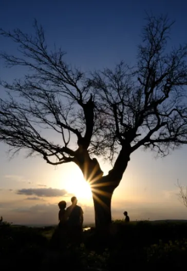 Mardin Göbeklitepe Halfeti Tour