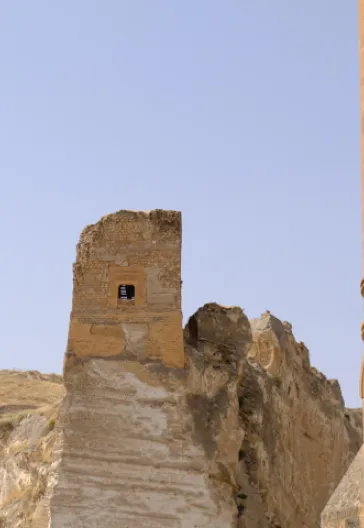 Mardin Göbeklitepe Halfeti Tour