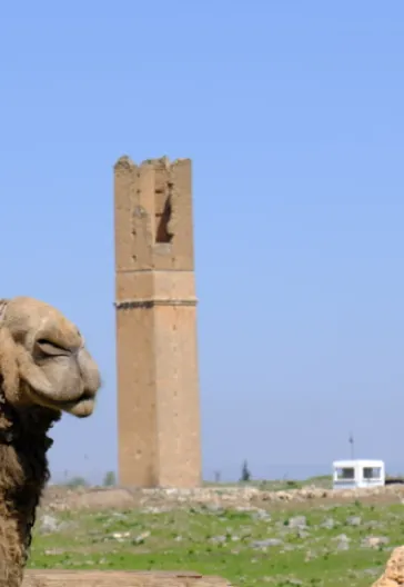 Mardin Göbeklitepe Halfeti Tour
