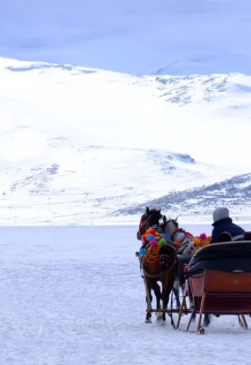 Зимнее путешествие из Карса в Эрзурум