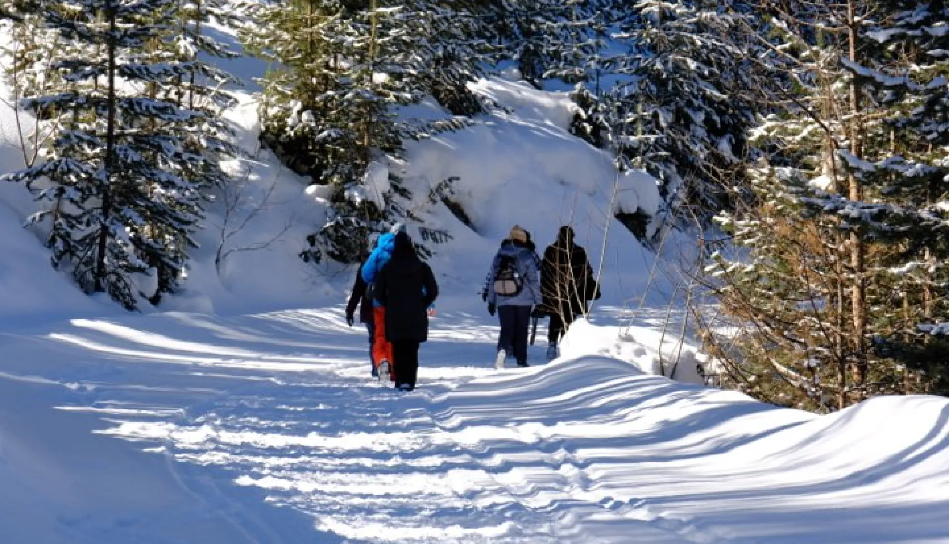 Зимнее путешествие из Карса в Эрзурум