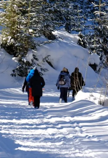 Зимнее путешествие из Карса в Эрзурум