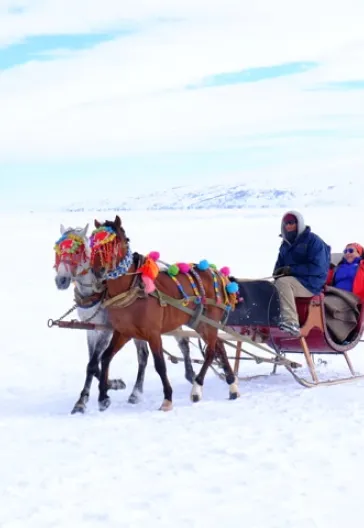 Зимнее путешествие из Карса в Эрзурум