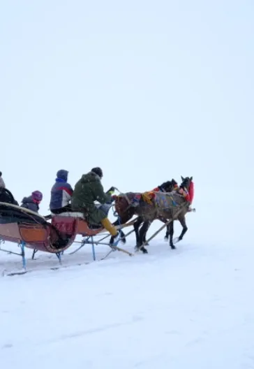 Зимнее путешествие из Карса в Эрзурум