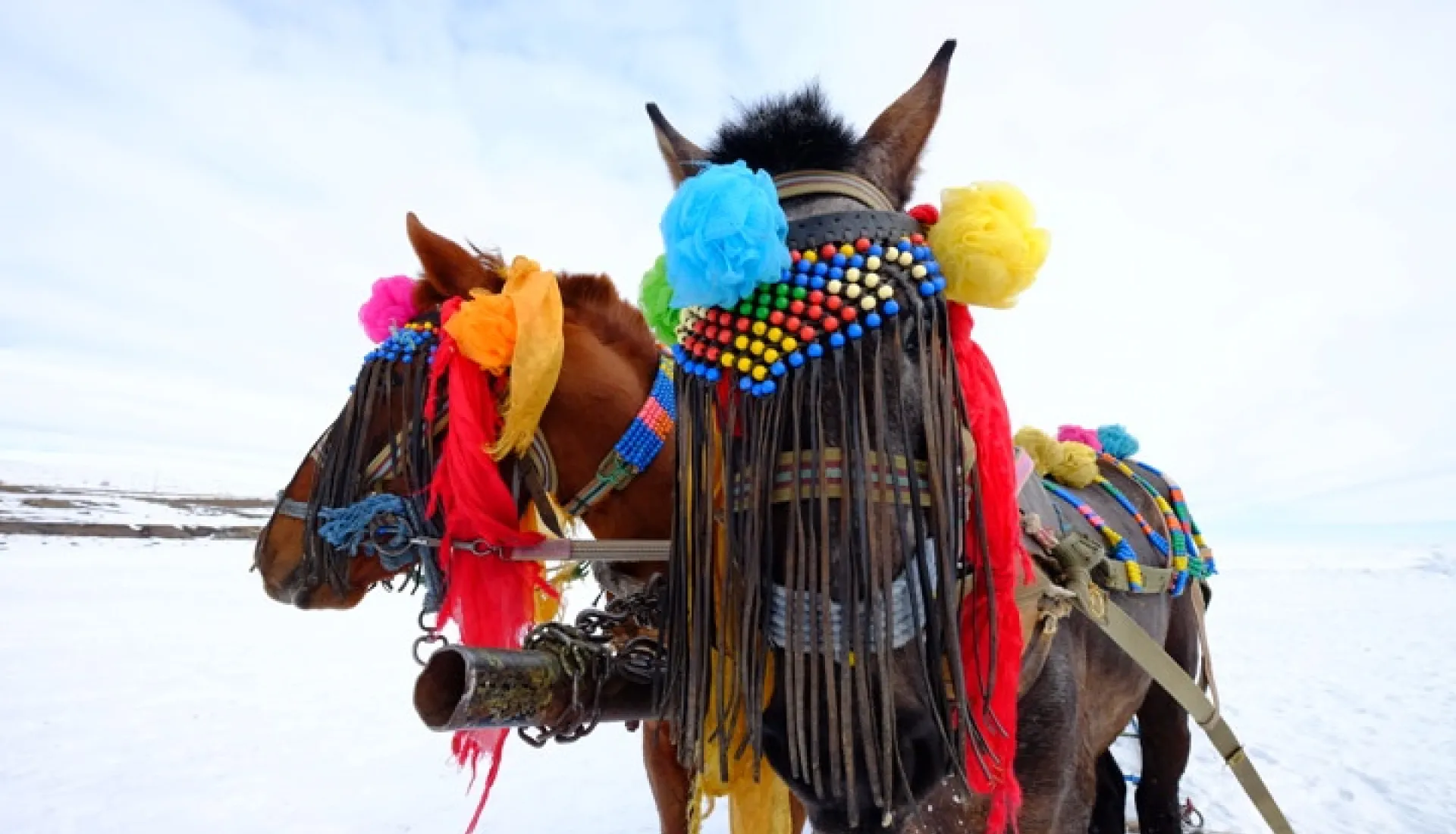 Зимнее путешествие из Карса в Эрзурум
